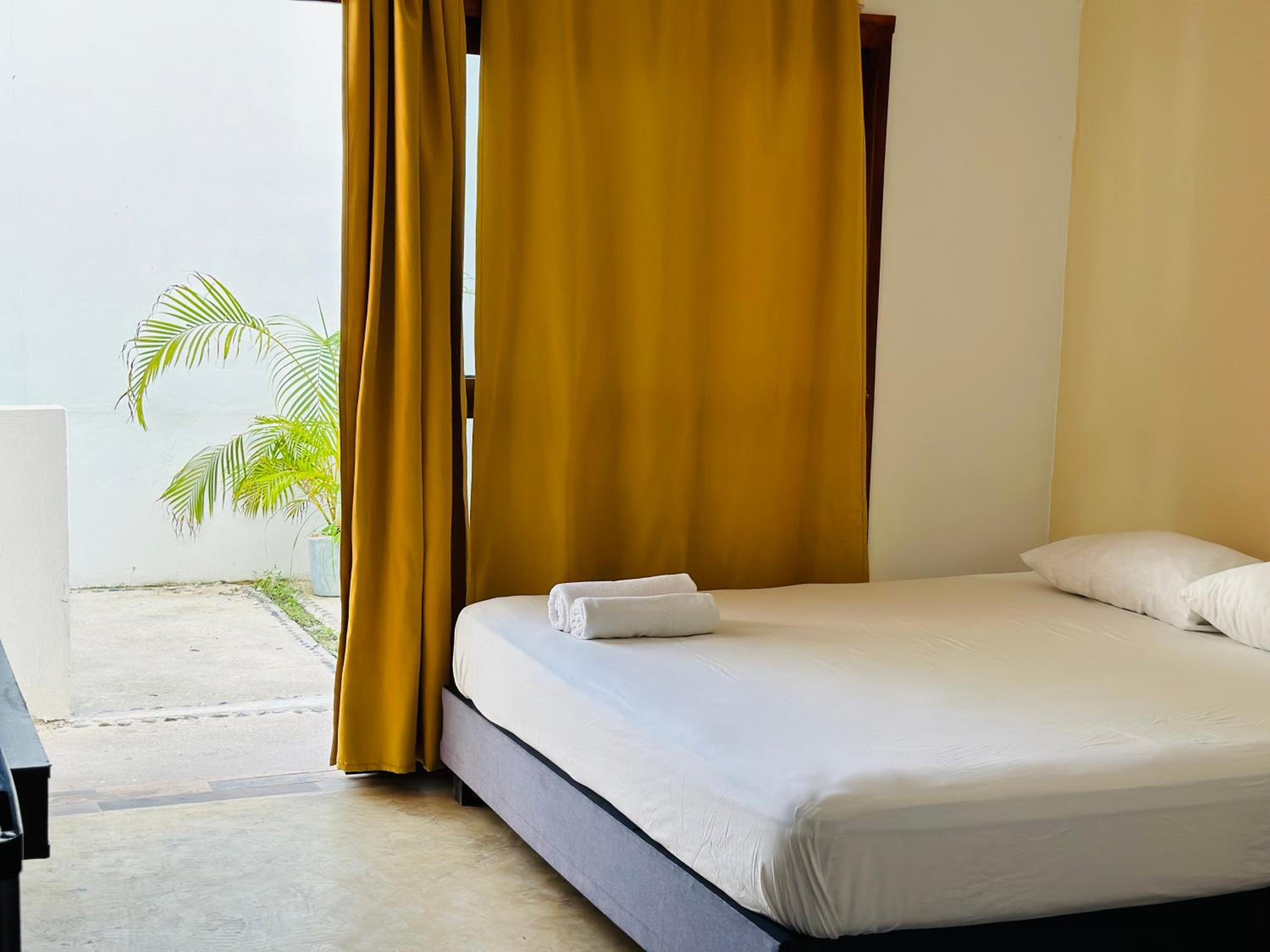 Twin Room photo 2