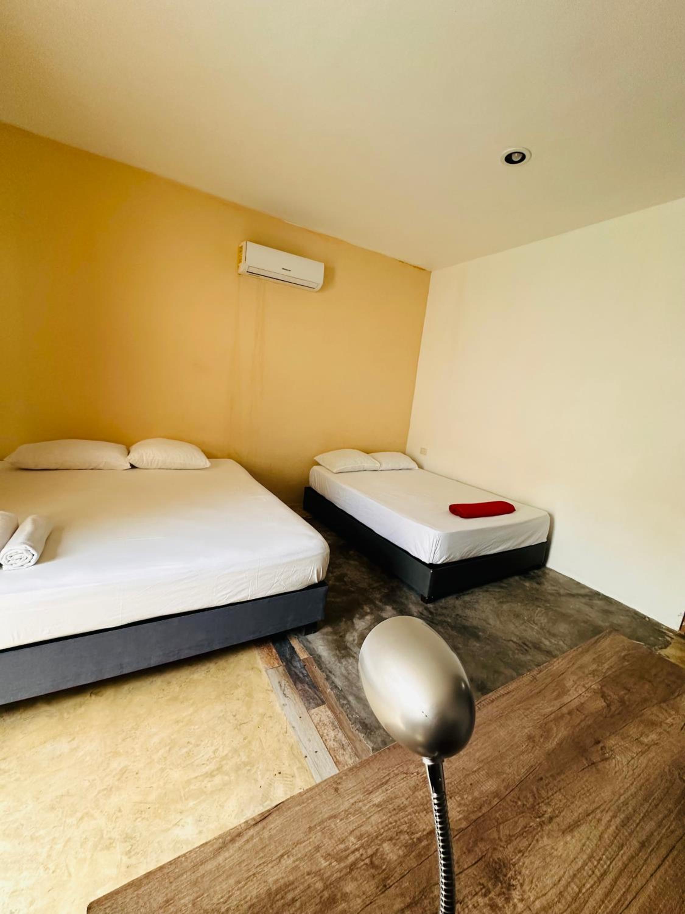 Twin Room photo 3