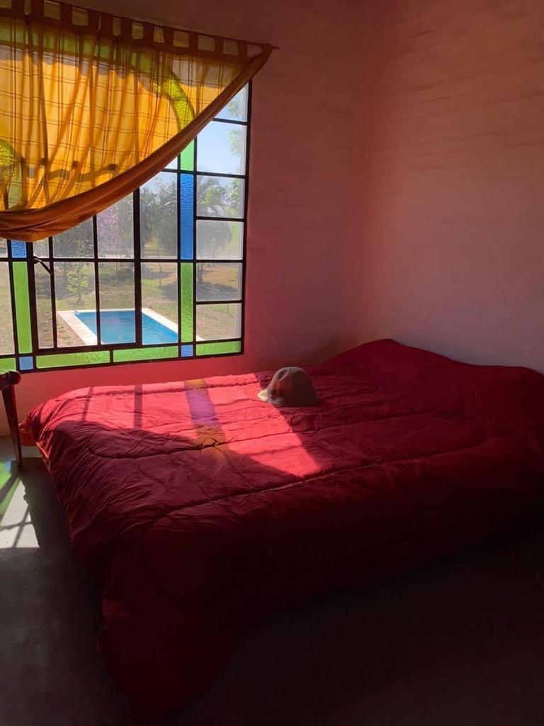 One-Bedroom House photo 1