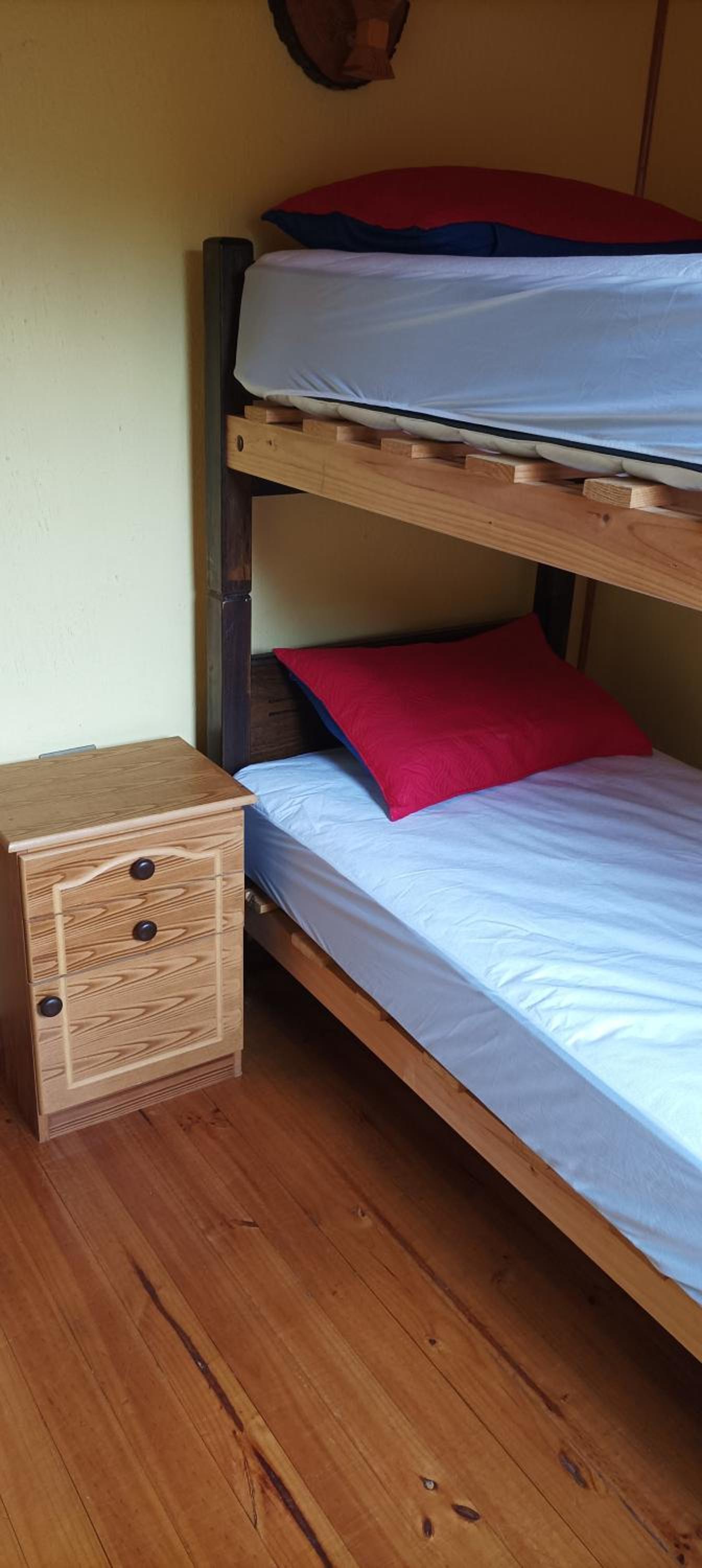 Twin Room photo 1