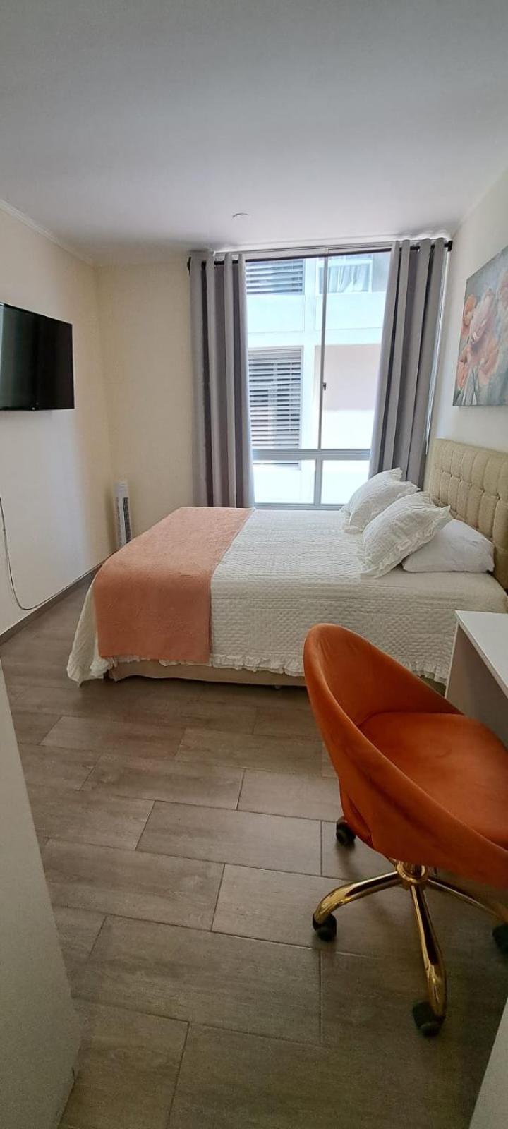 One-Bedroom Apartment photo 2