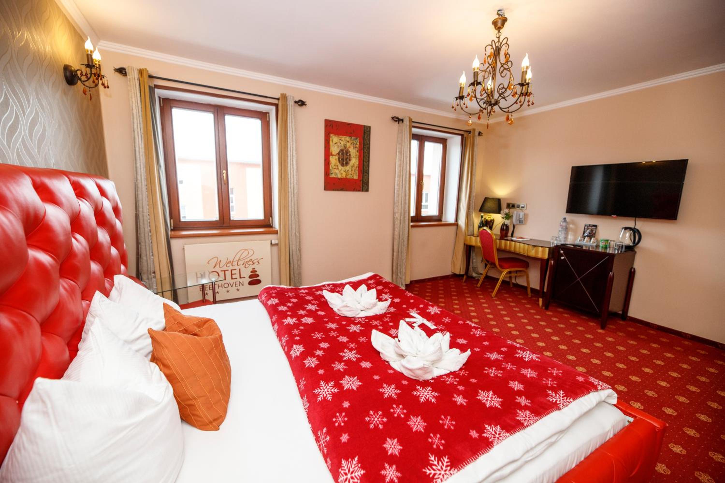 Superior Single Room photo 2