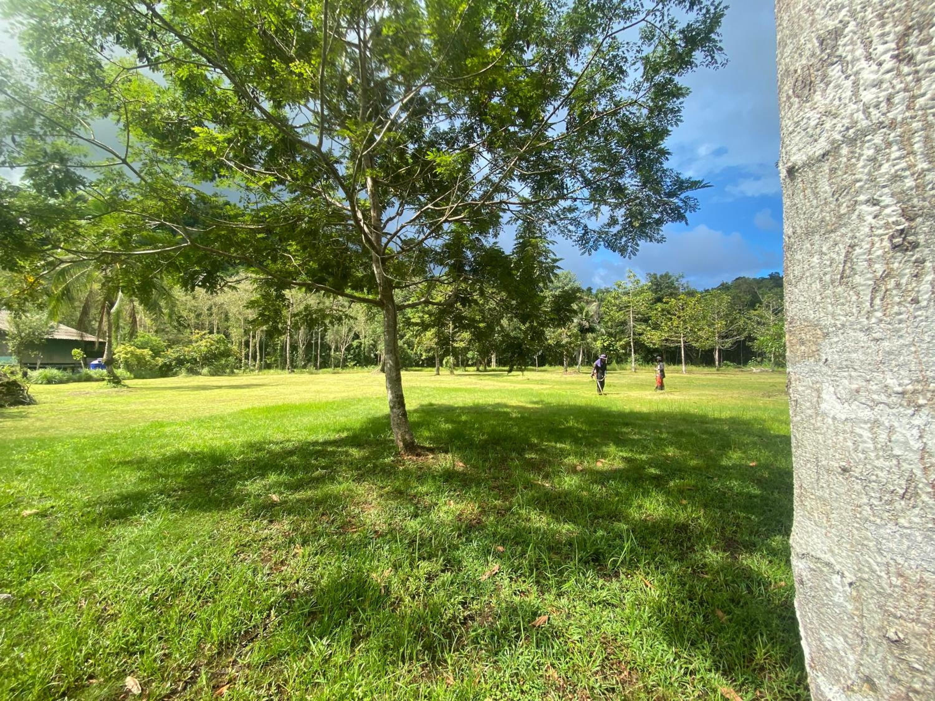 Bungalow with Garden View photo 3
