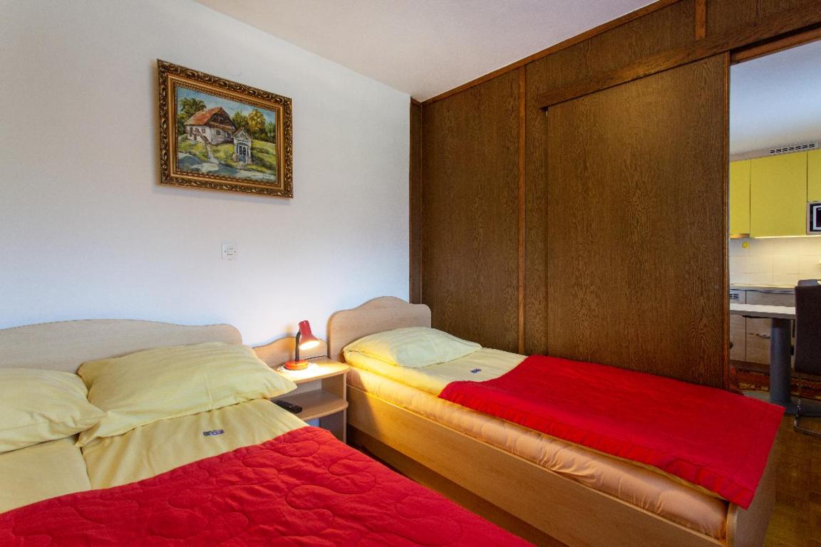 One-Bedroom Apartment (3 Adults + 1 Child) - Photo 2