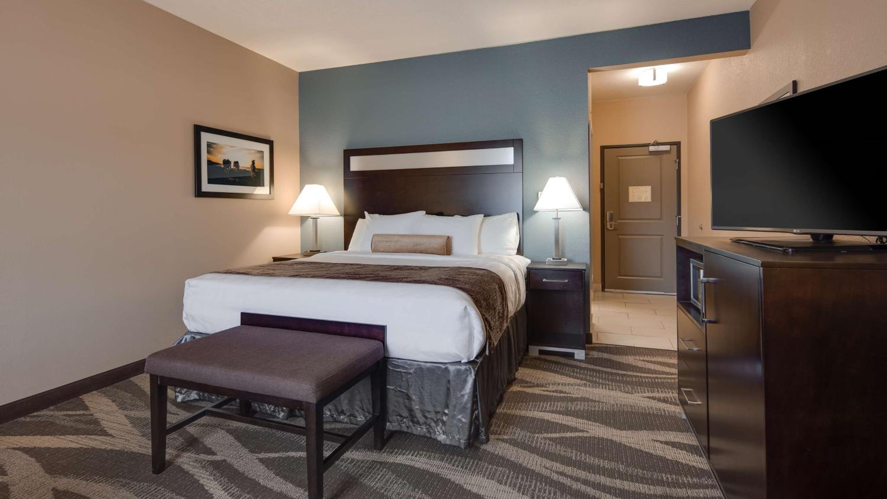 King Suite with Sofa Bed - Pet Friendly/Non-Smoking