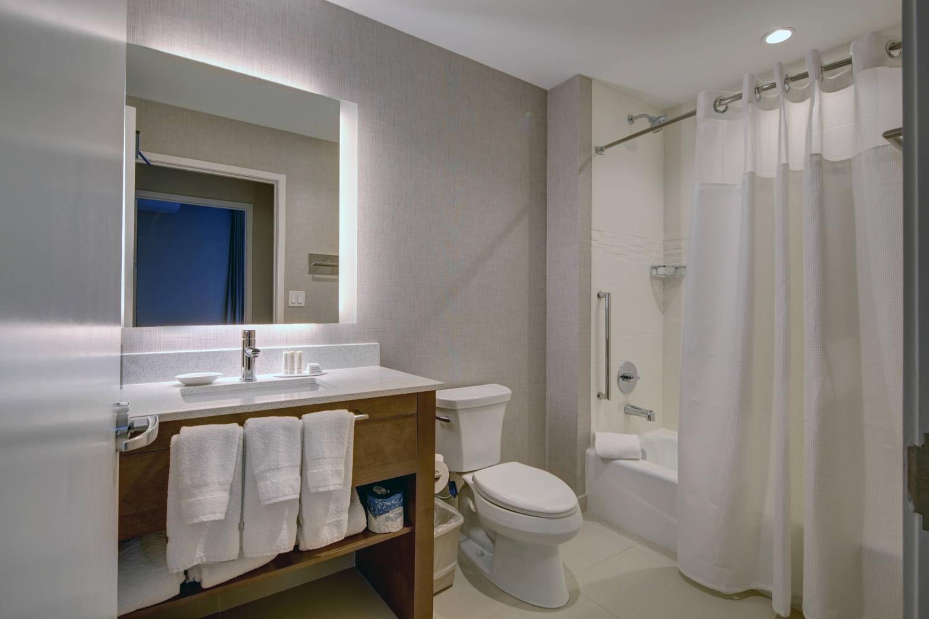 2 Bedroom Suite - Photo 3