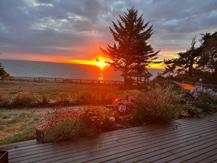 Two-Bedroom Apartment - Oceanfront  photo 3