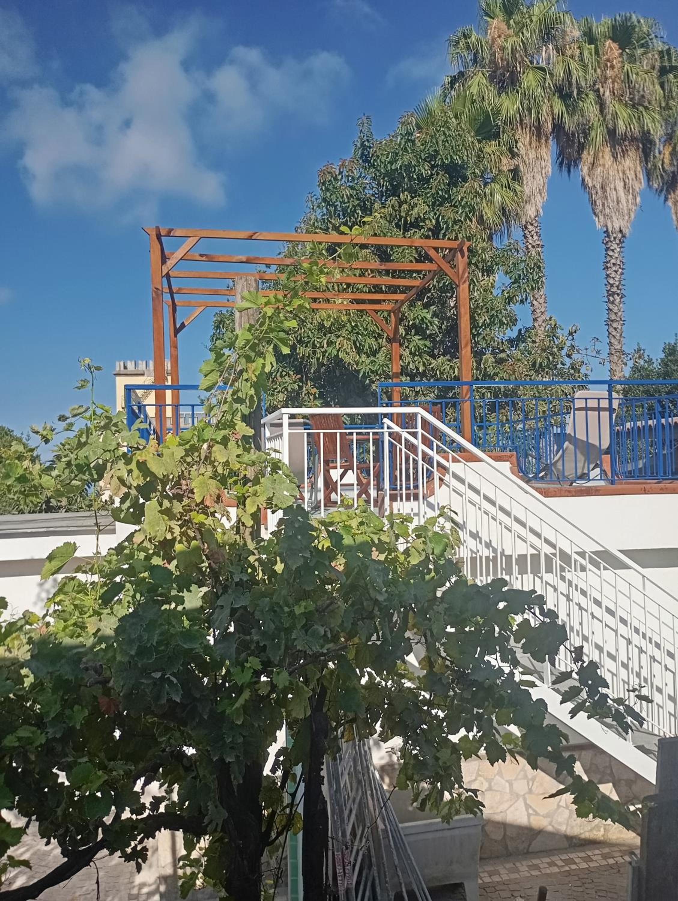 Studio with Terrace photo 3