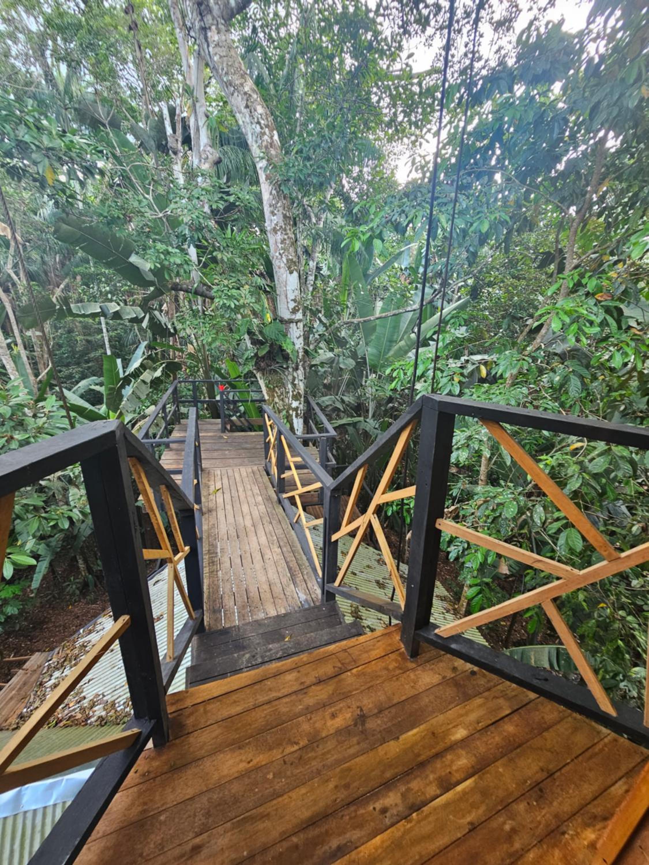 Double Room with Garden View photo 3