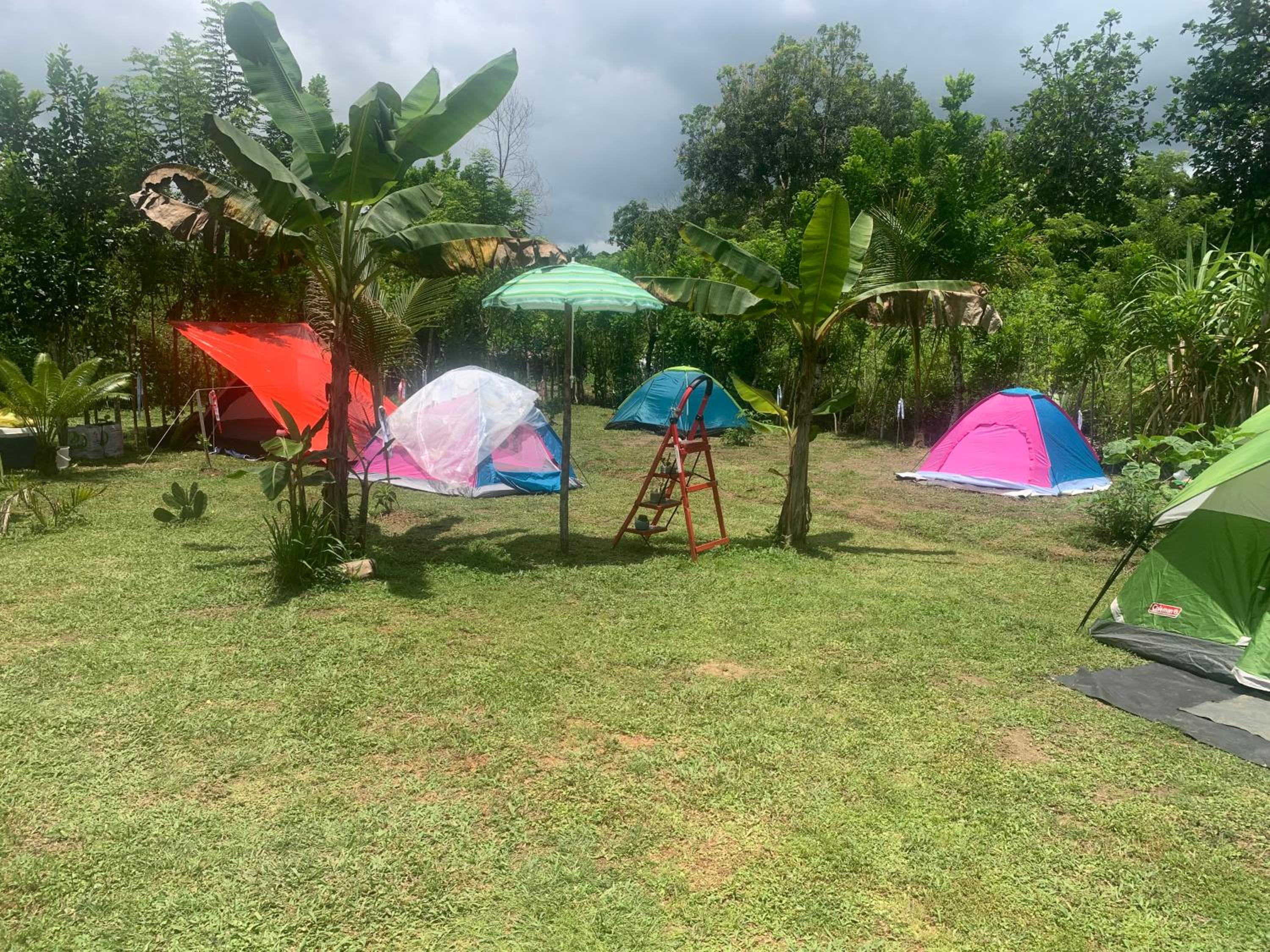 Tent photo 2
