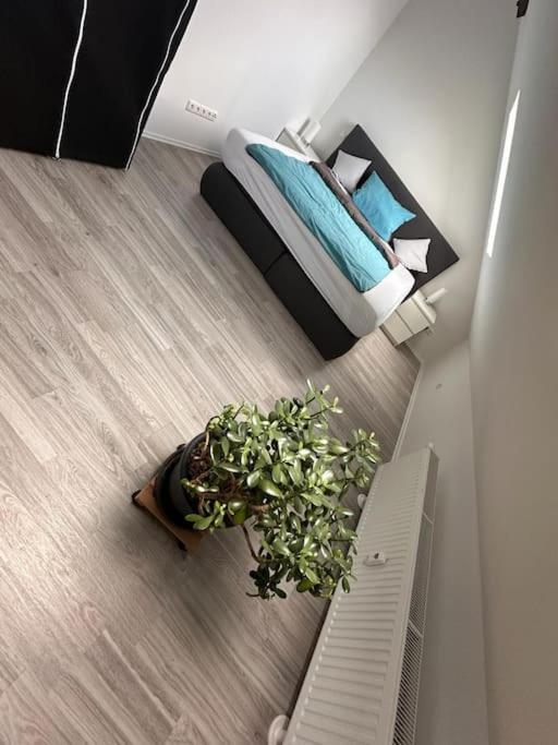 Two-Bedroom Apartment with View photo 2
