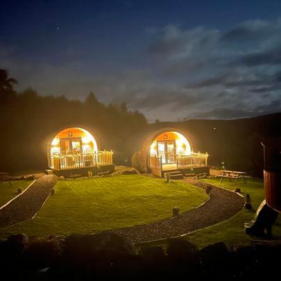 Luxury Glamping Pod without Hot Tub - Photo 10
