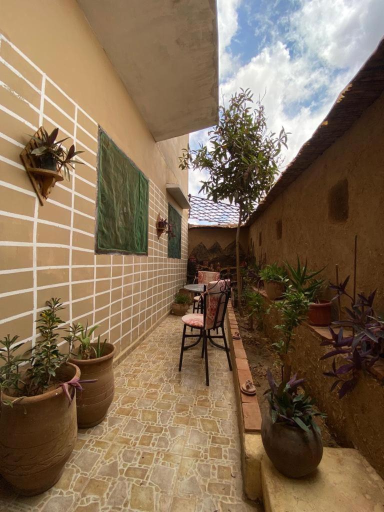 One-Bedroom House photo 2