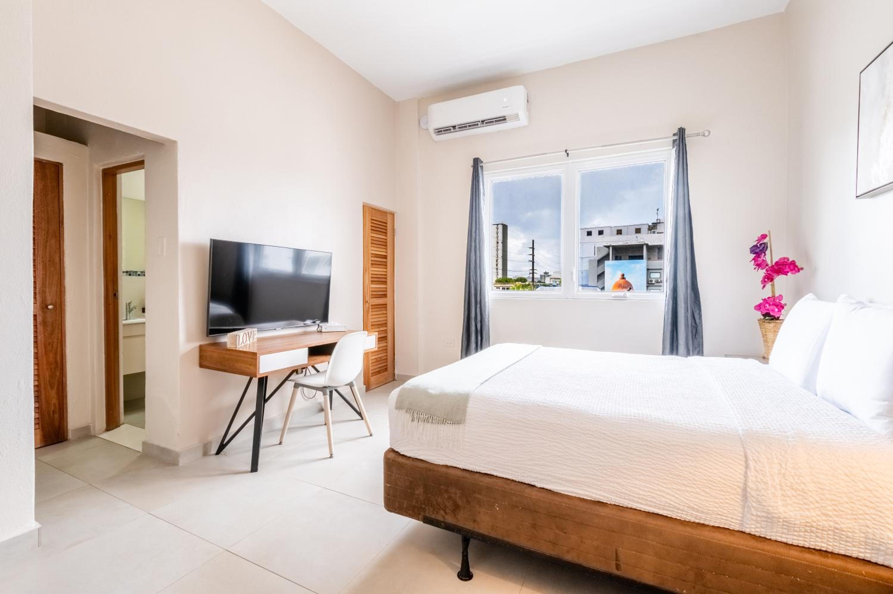 1 Bedroom Apartment