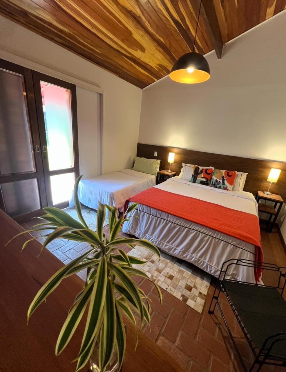 Suite - Photo 1