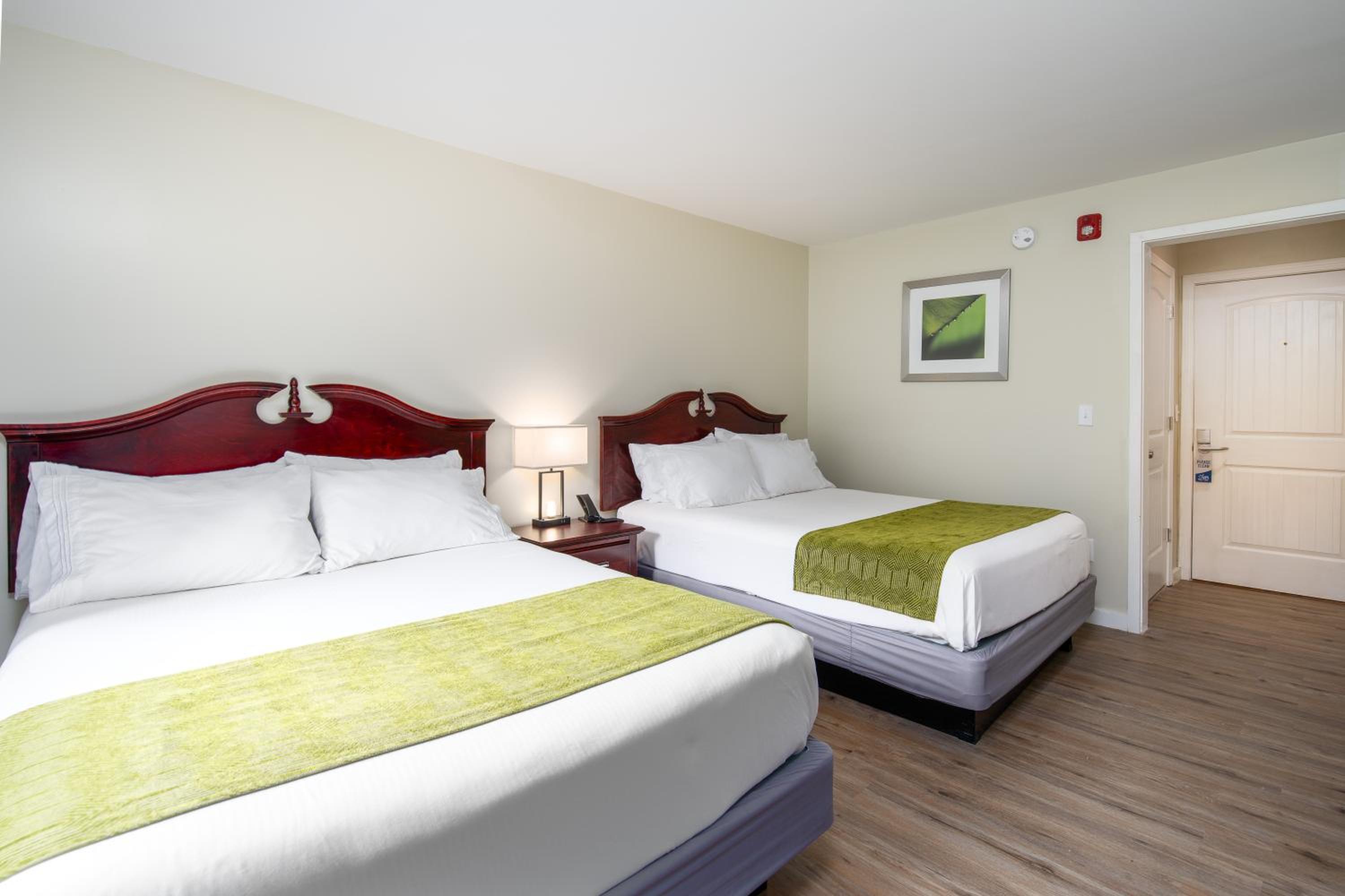 Deluxe Double Room photo 3