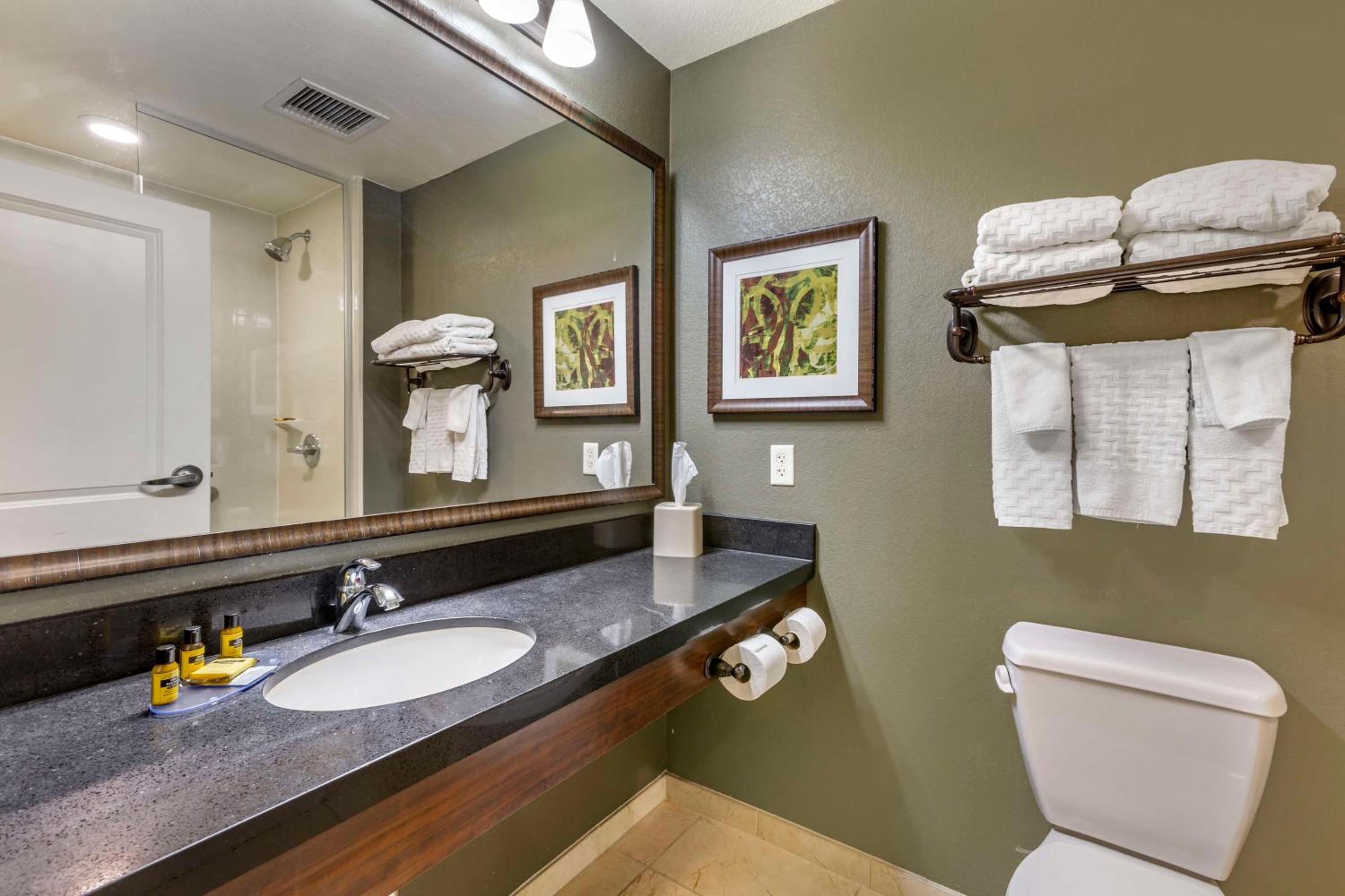 Queen Suite with Sofa Bed photo 2