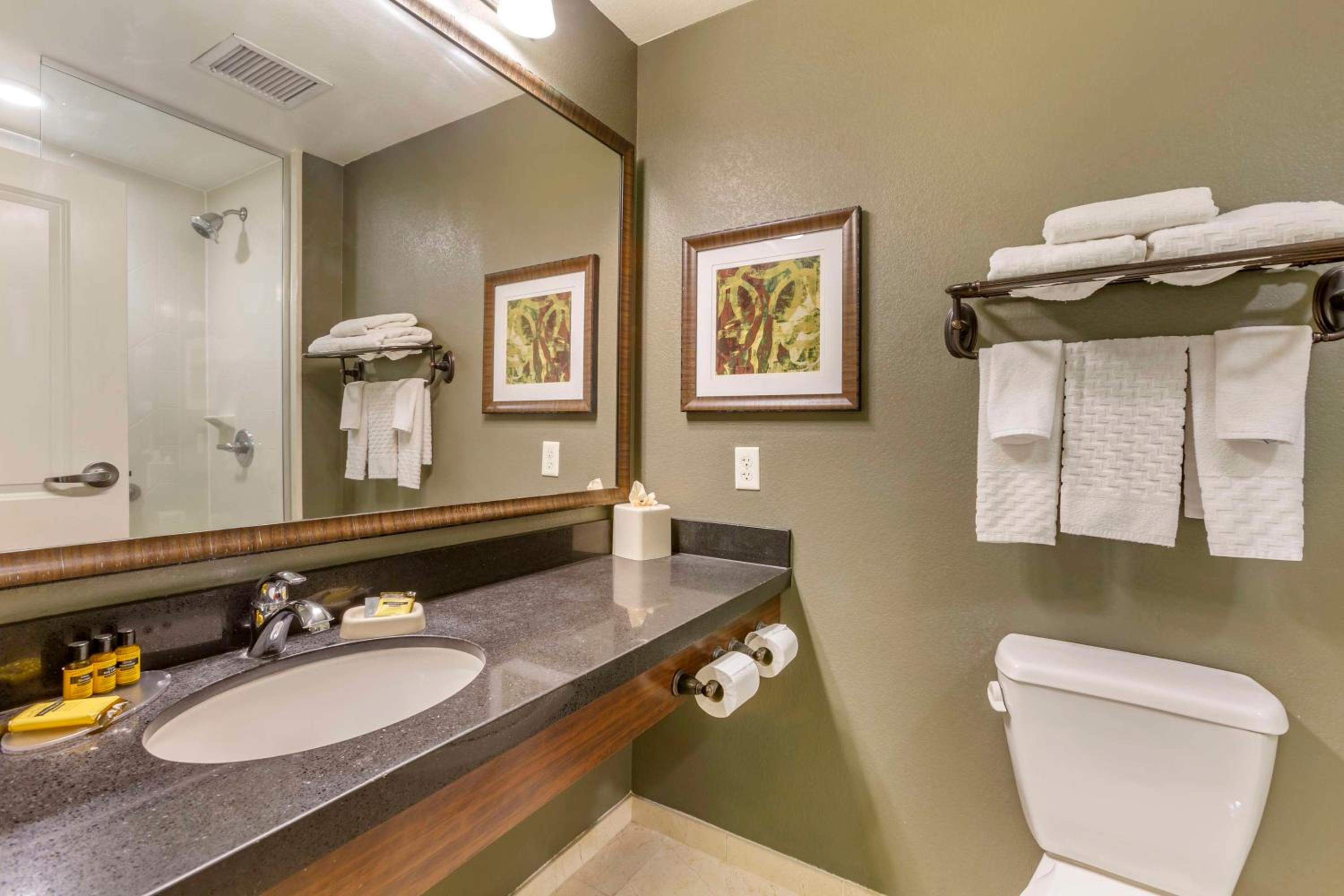 King Suite with Sofa Bed - Non-Smoking