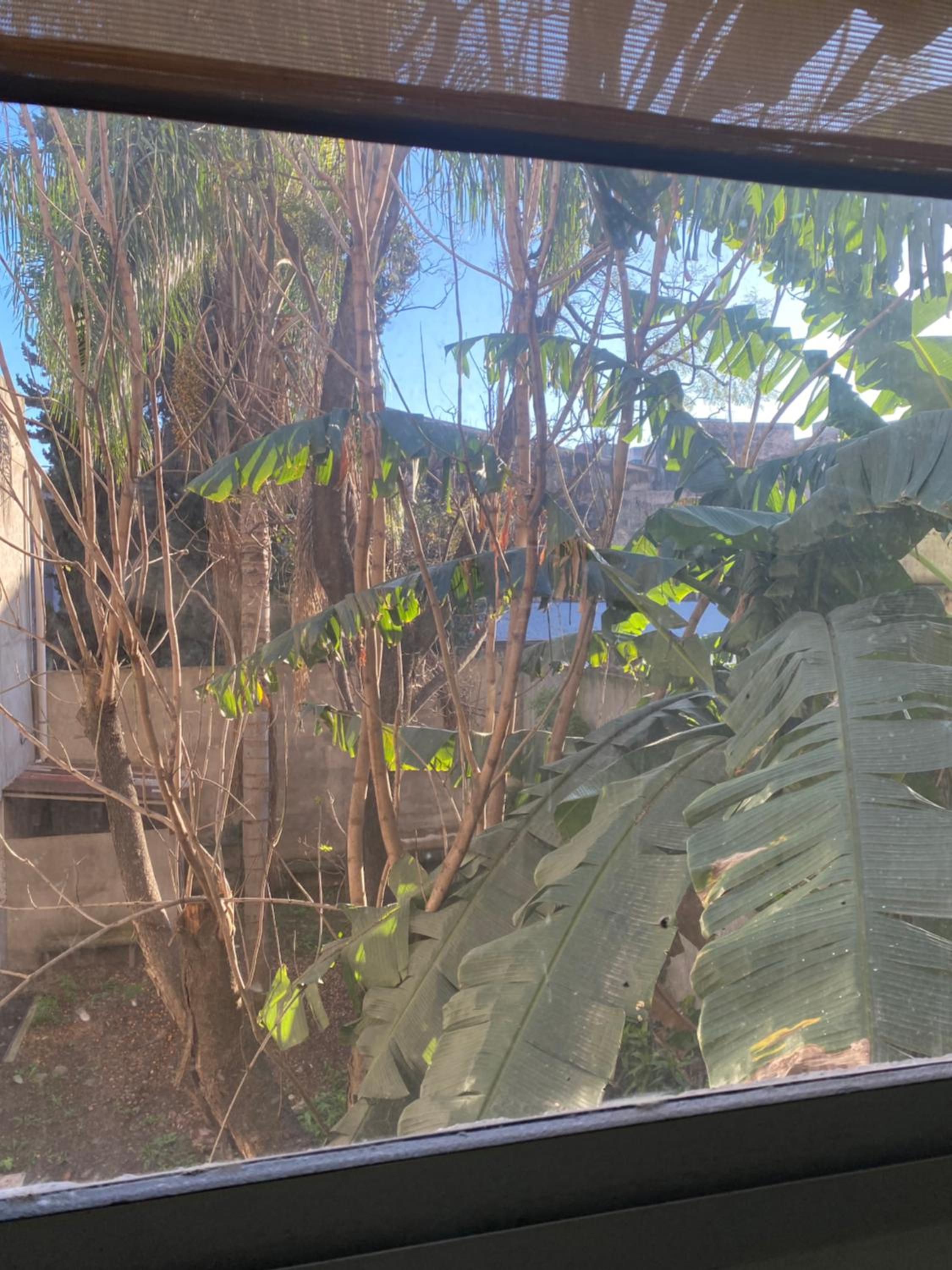 Suite with Garden View photo 2