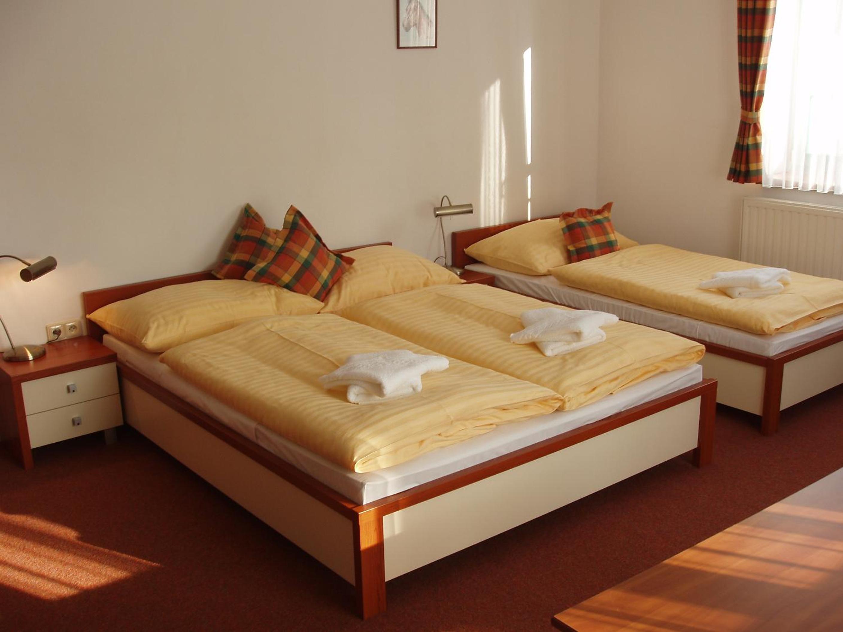 Triple Room photo 1