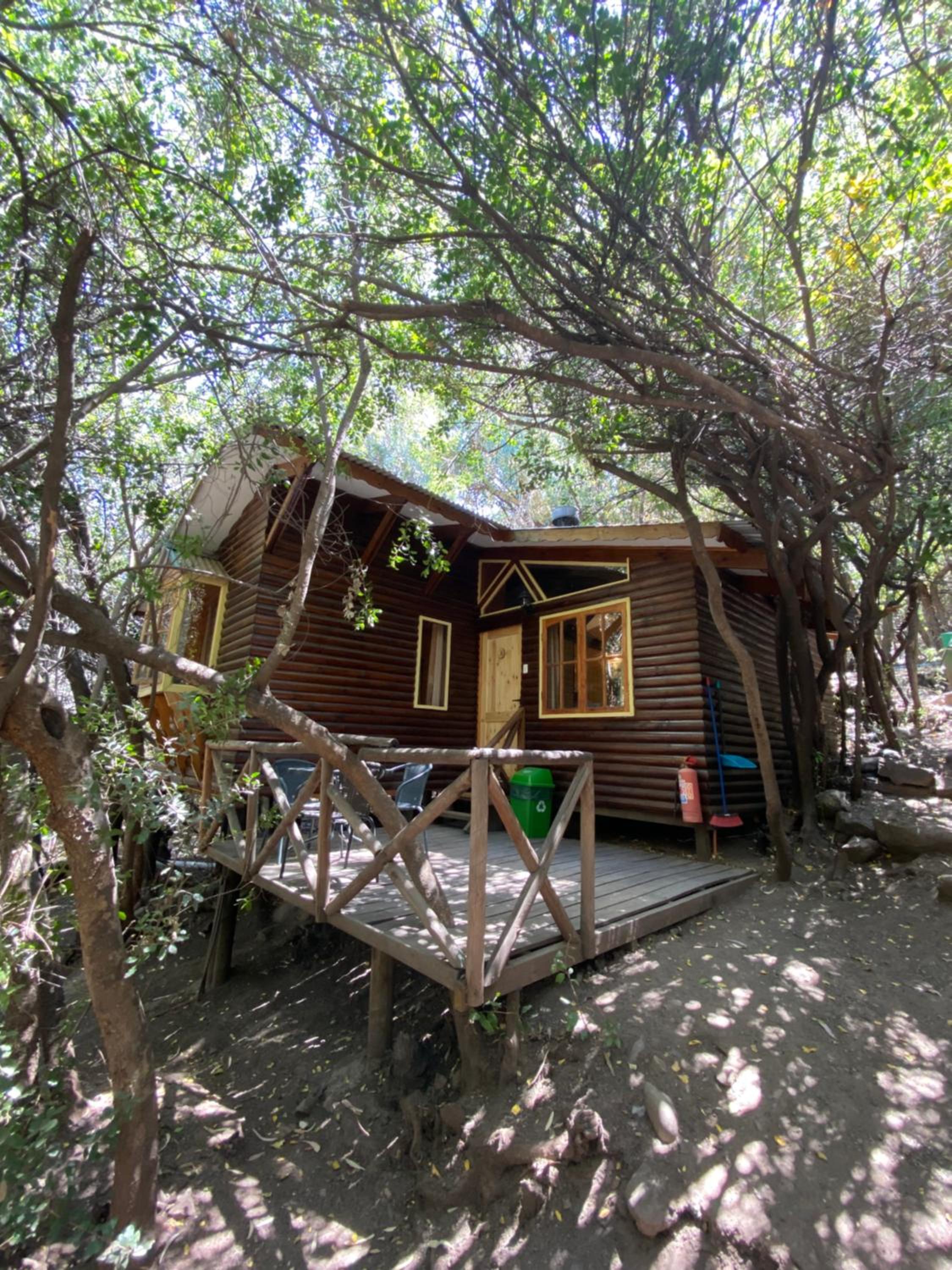 Family Bungalow photo 2