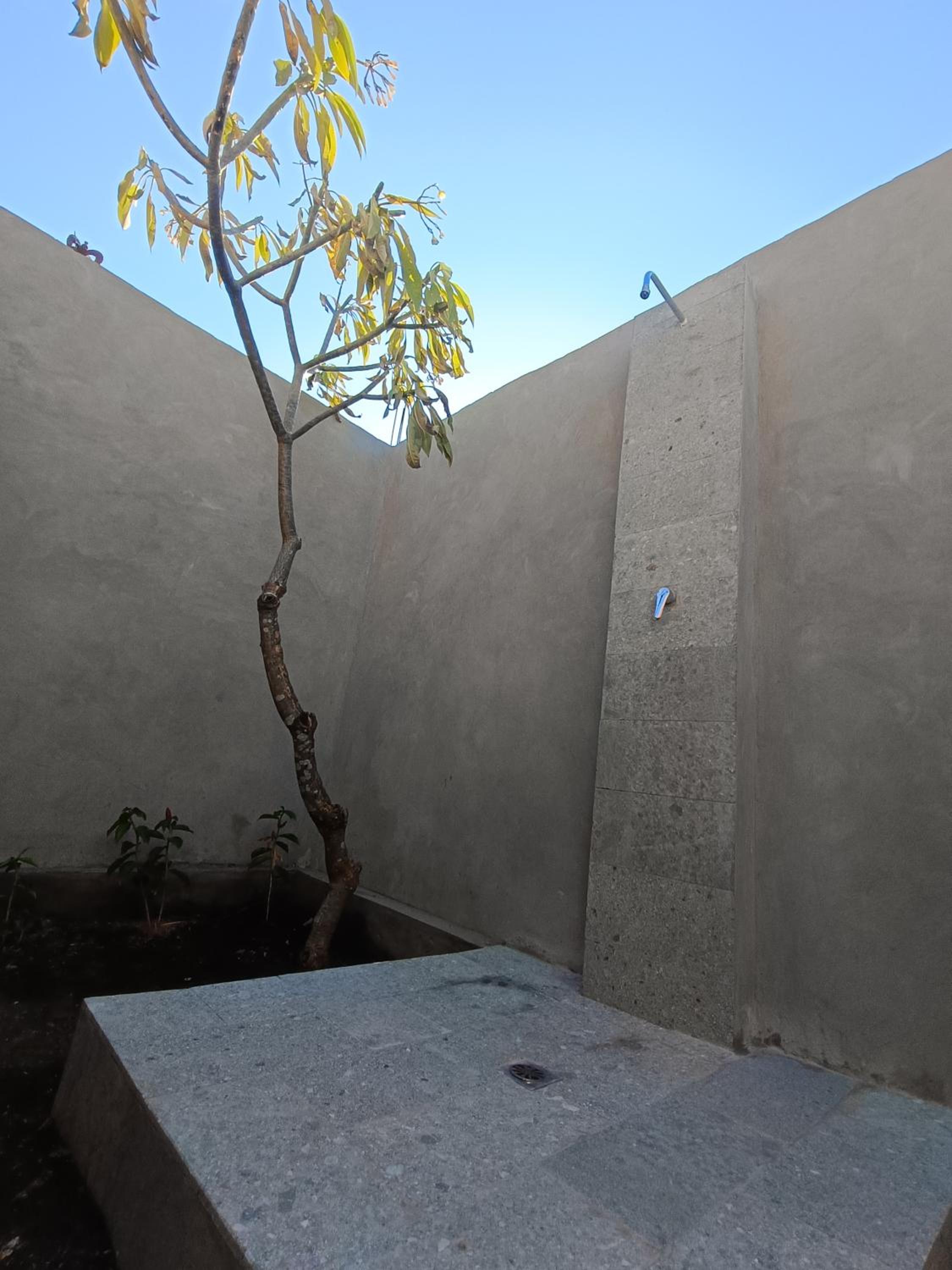 Bungalow with Garden View photo 3