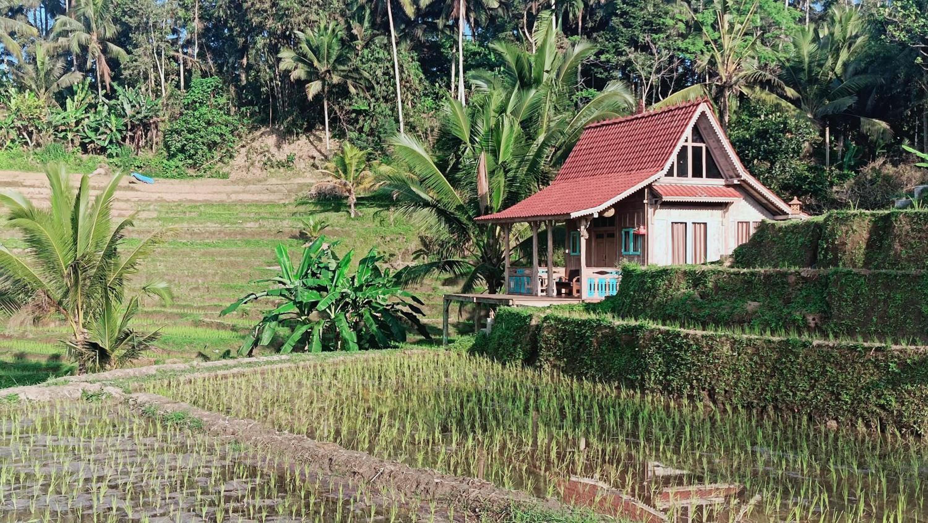Bungalow with Garden View - Photo 10