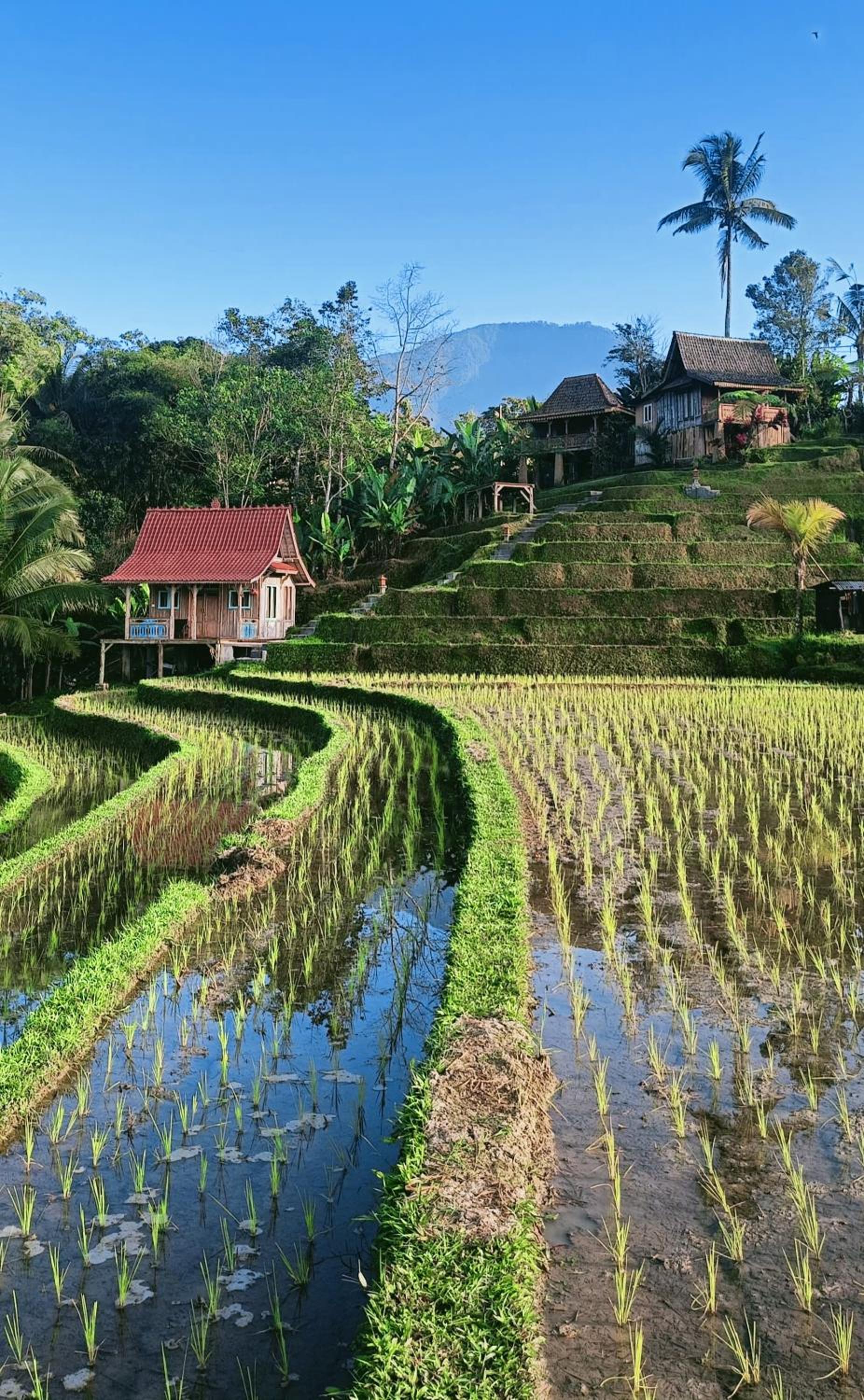 King Room with Balcony - Photo 46