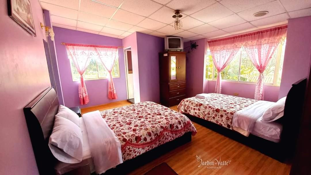 Twin Room photo 3