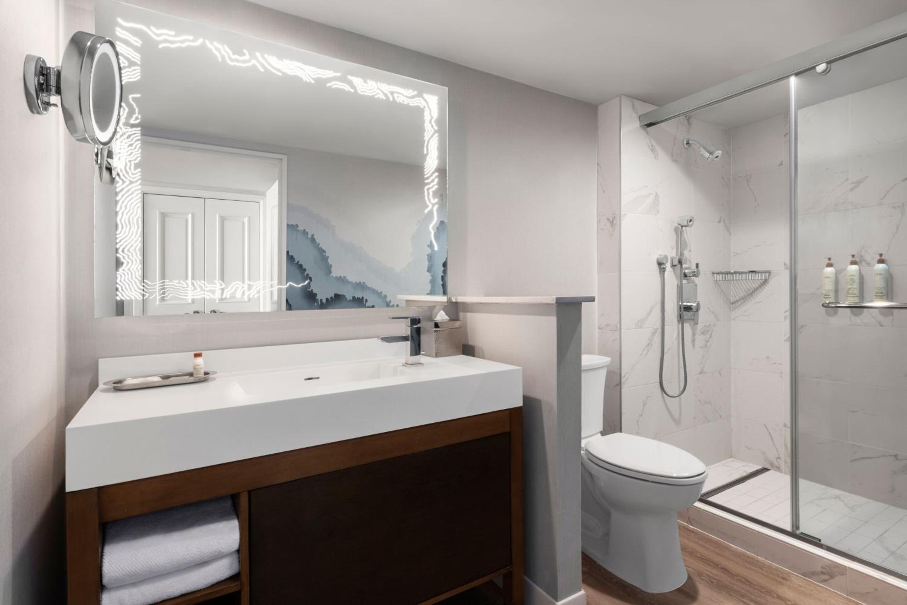 King Room with Roll-in Shower - Mobility Accessible - Photo 8