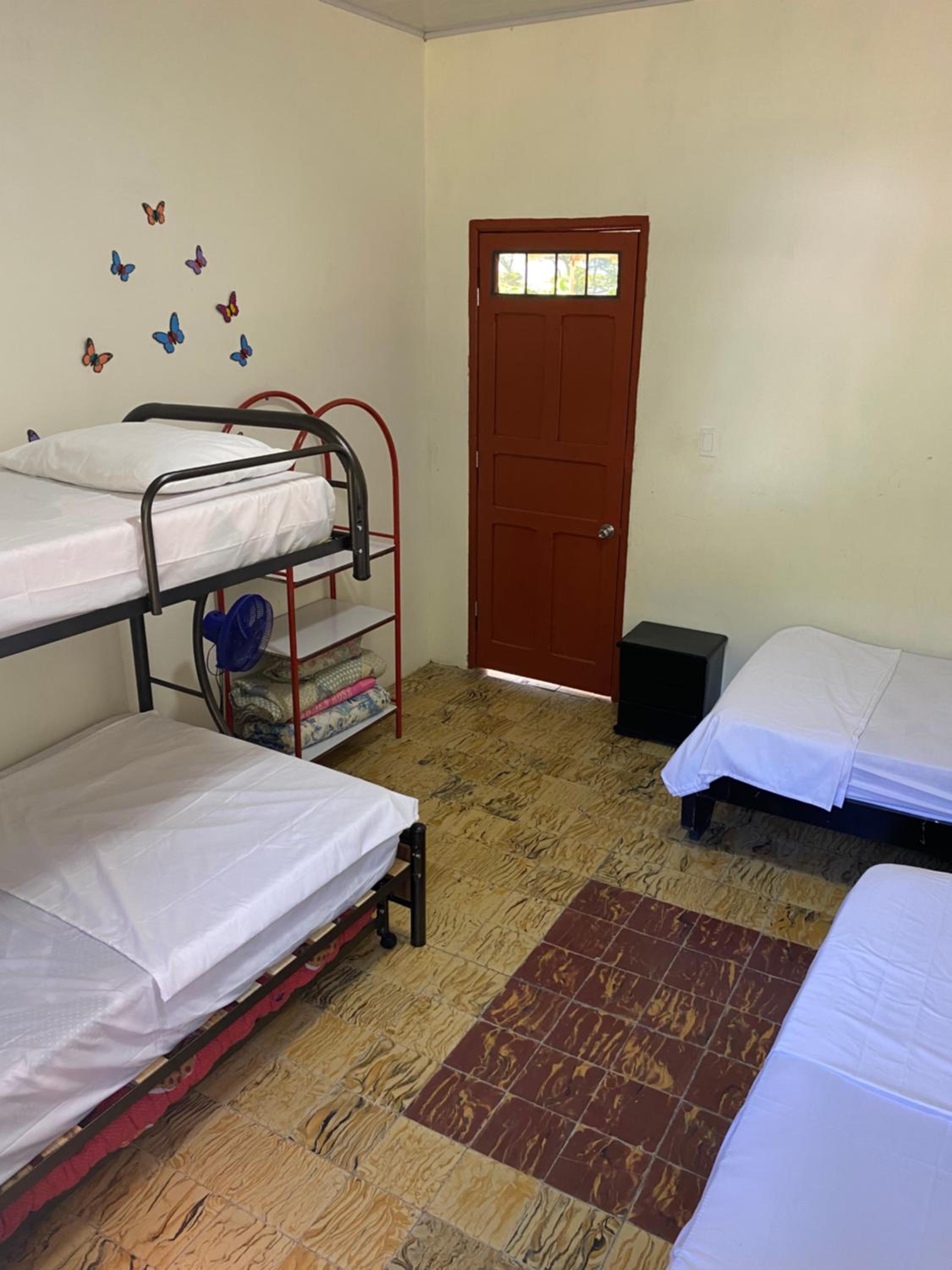 Double or Twin Room photo 1