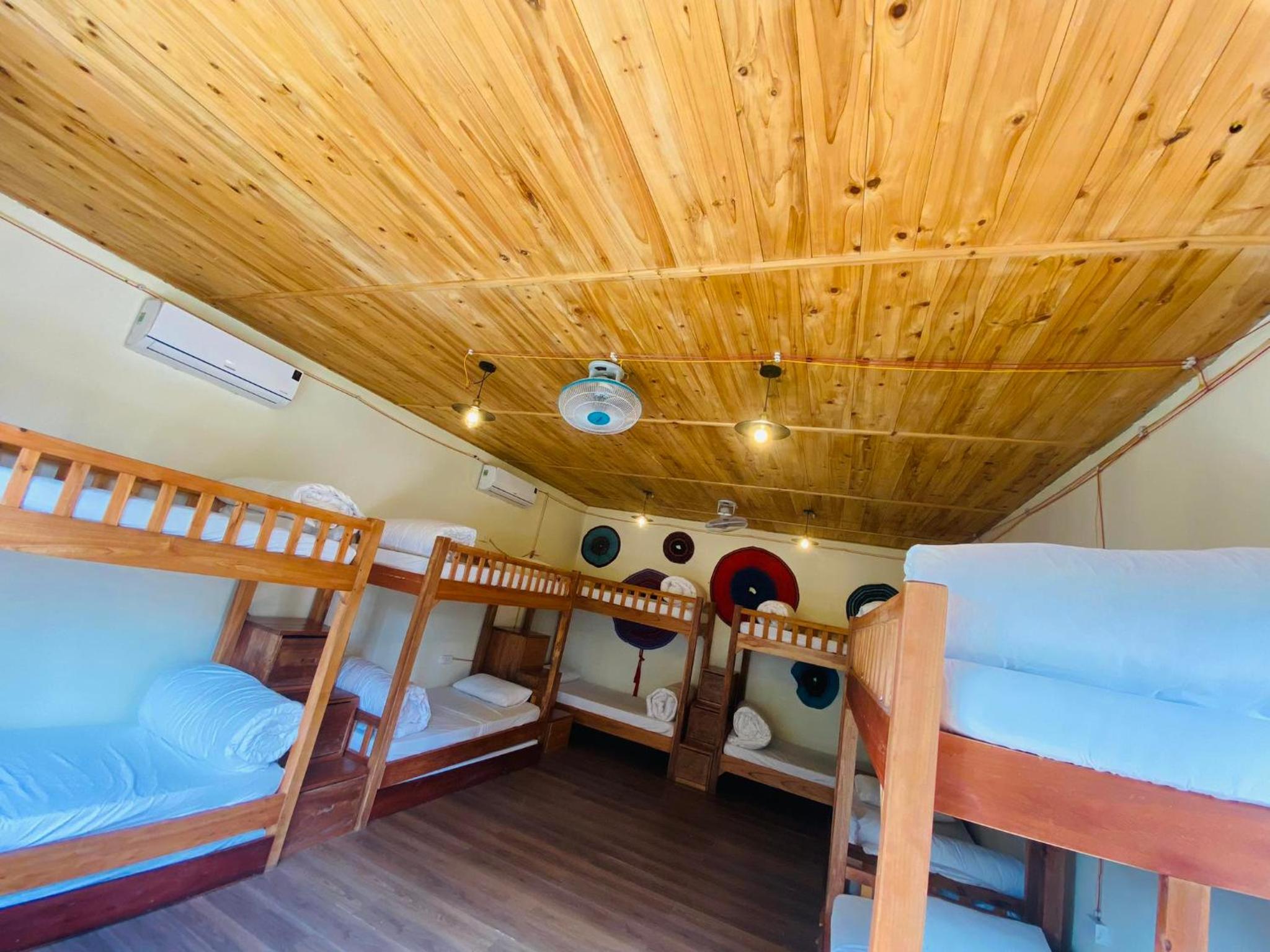 Bunk Bed in Mixed Dormitory Room
