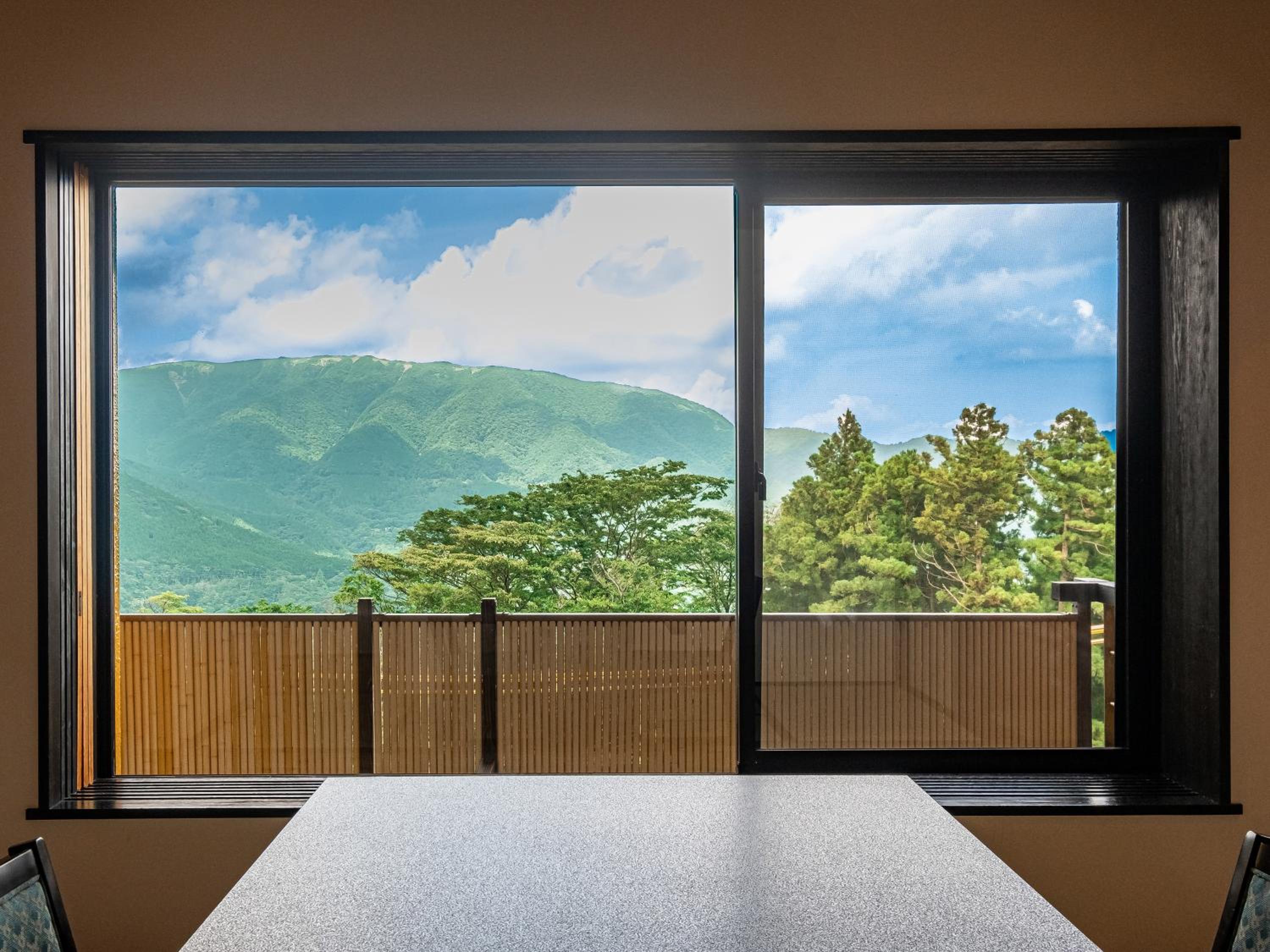 Japanese and Western style room 46㎡ Queen Double with Annex private open-air bath - Photo 13