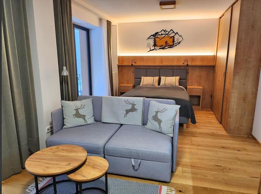 Studio Apartment with King Bed photo 1
