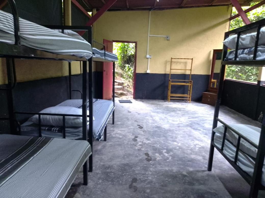 8-Bed Mixed Dormitory Room photo 2