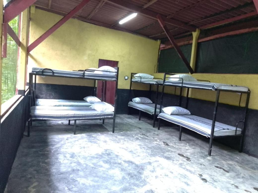 8-Bed Mixed Dormitory Room photo 3