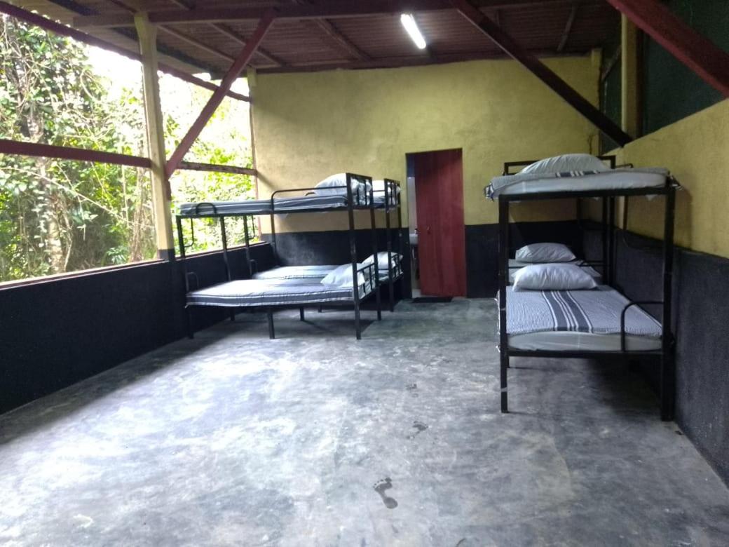 8-Bed Mixed Dormitory Room photo 2