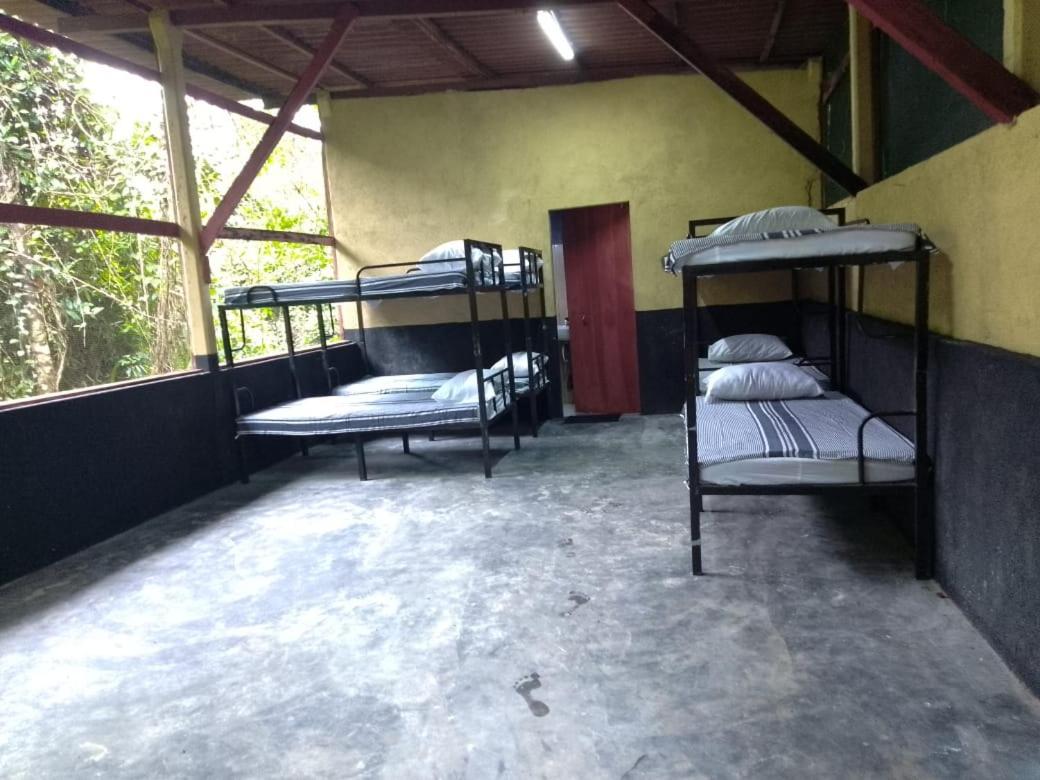 8-Bed Mixed Dormitory Room photo 3