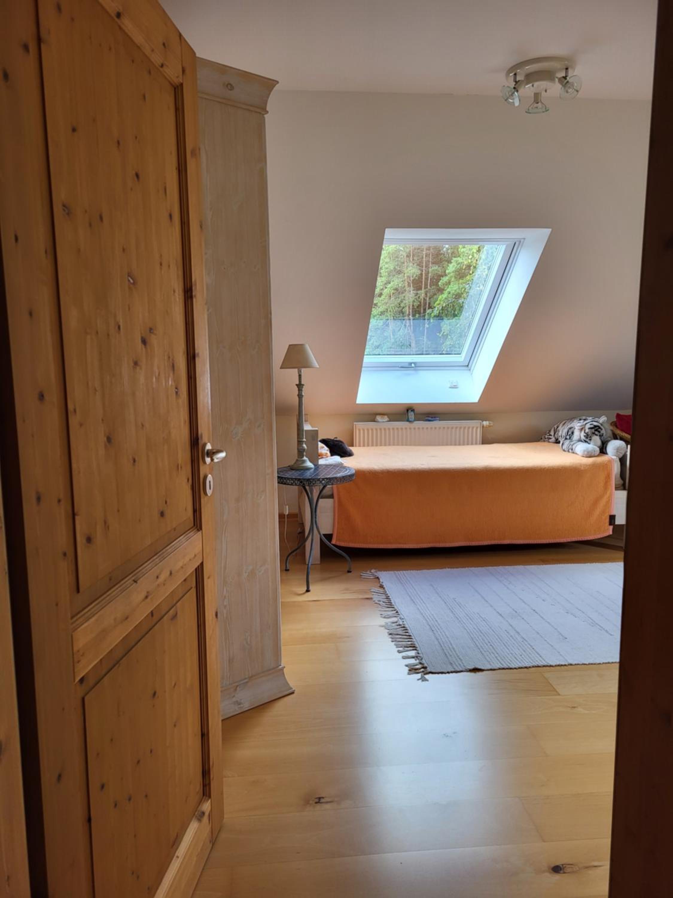 Single Room photo 1