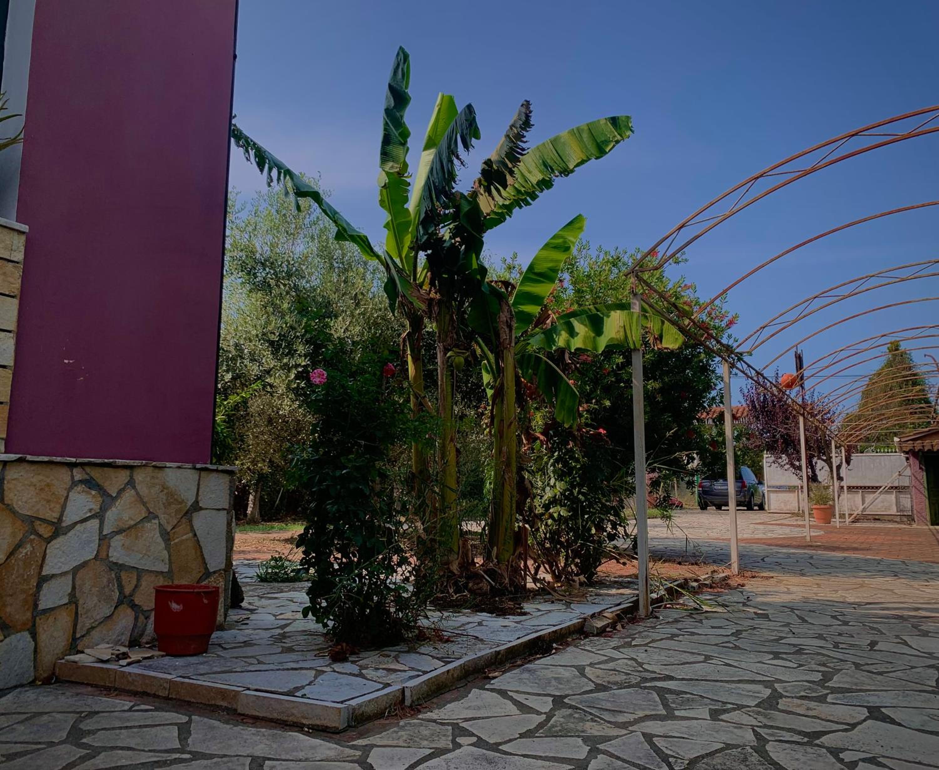 Villa photo 3