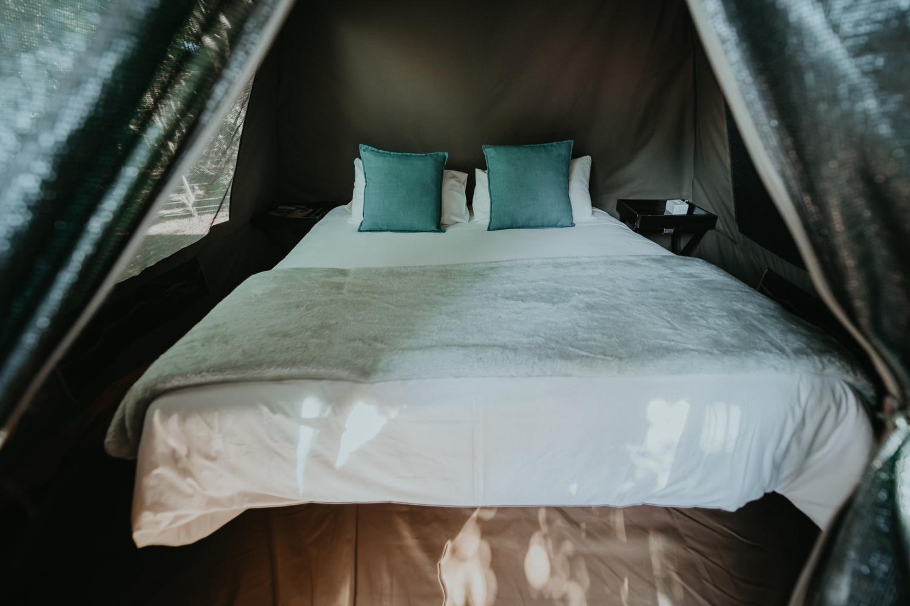 Tent photo 1