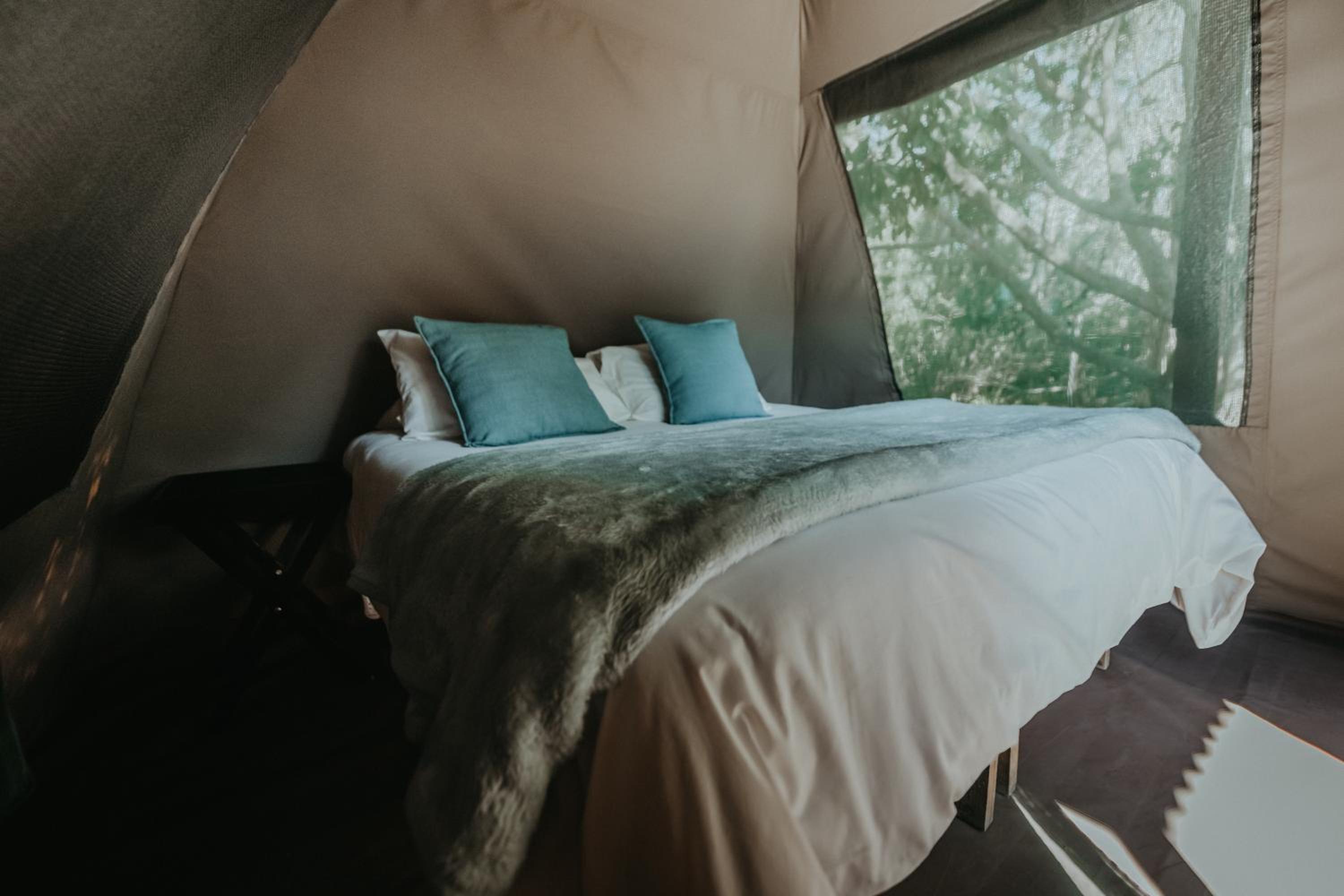 Tent photo 2