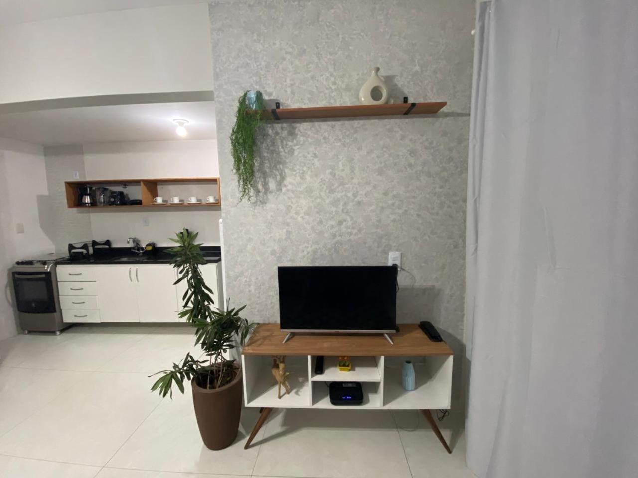 One-Bedroom Apartment photo 3
