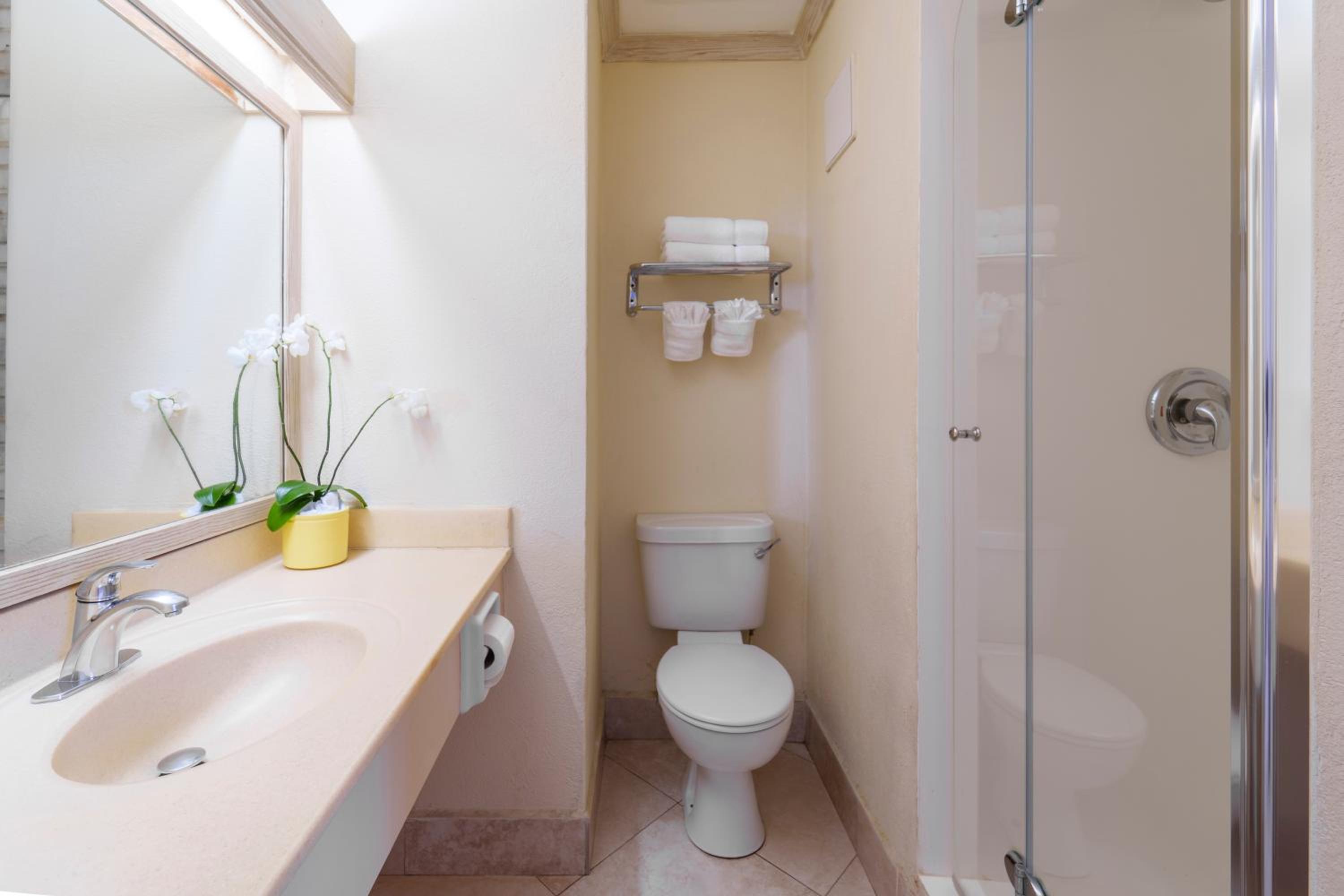 Double or Twin Room photo 3