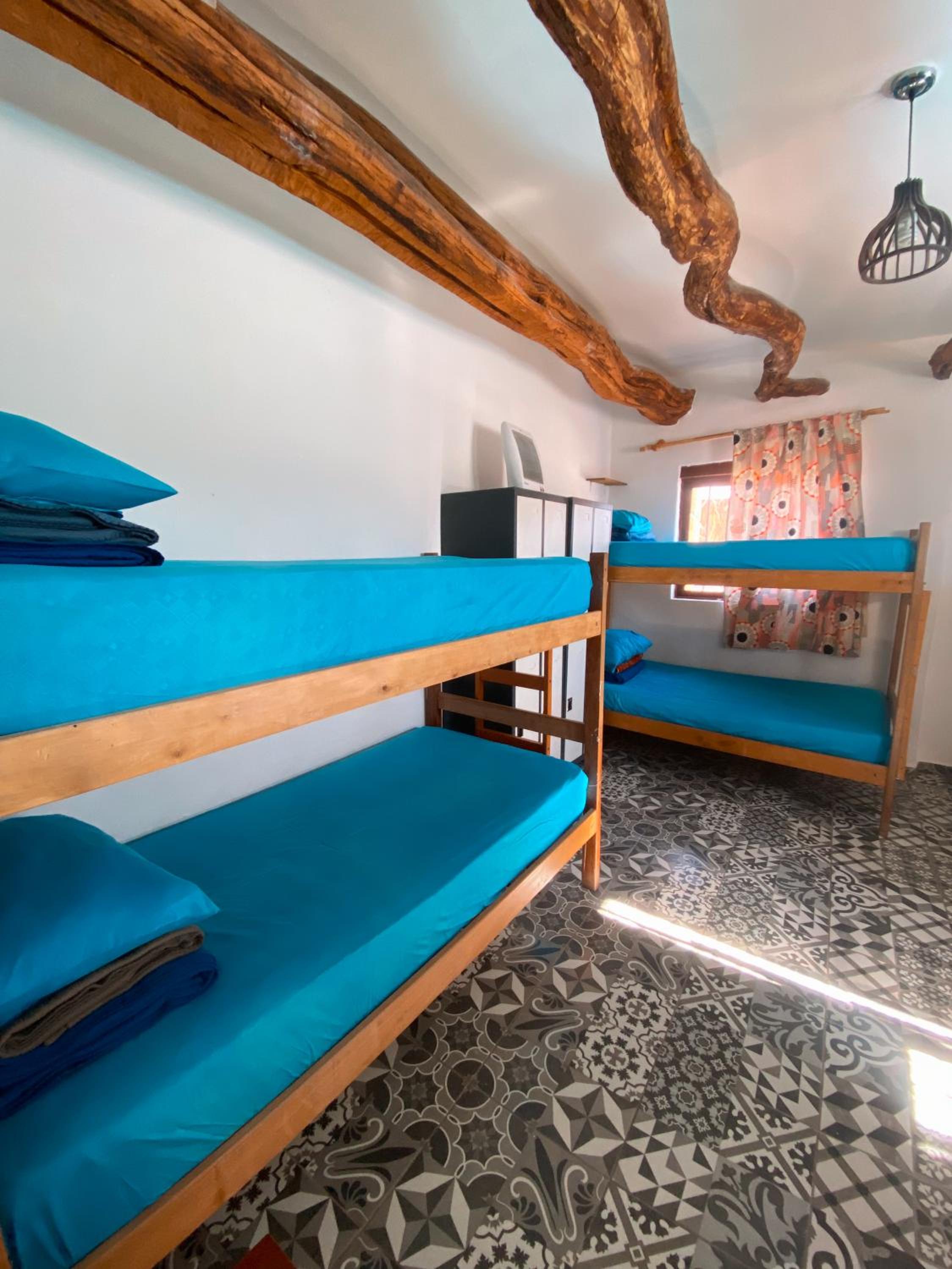 Bed in 8-Bed Mixed Dormitory Room photo 1