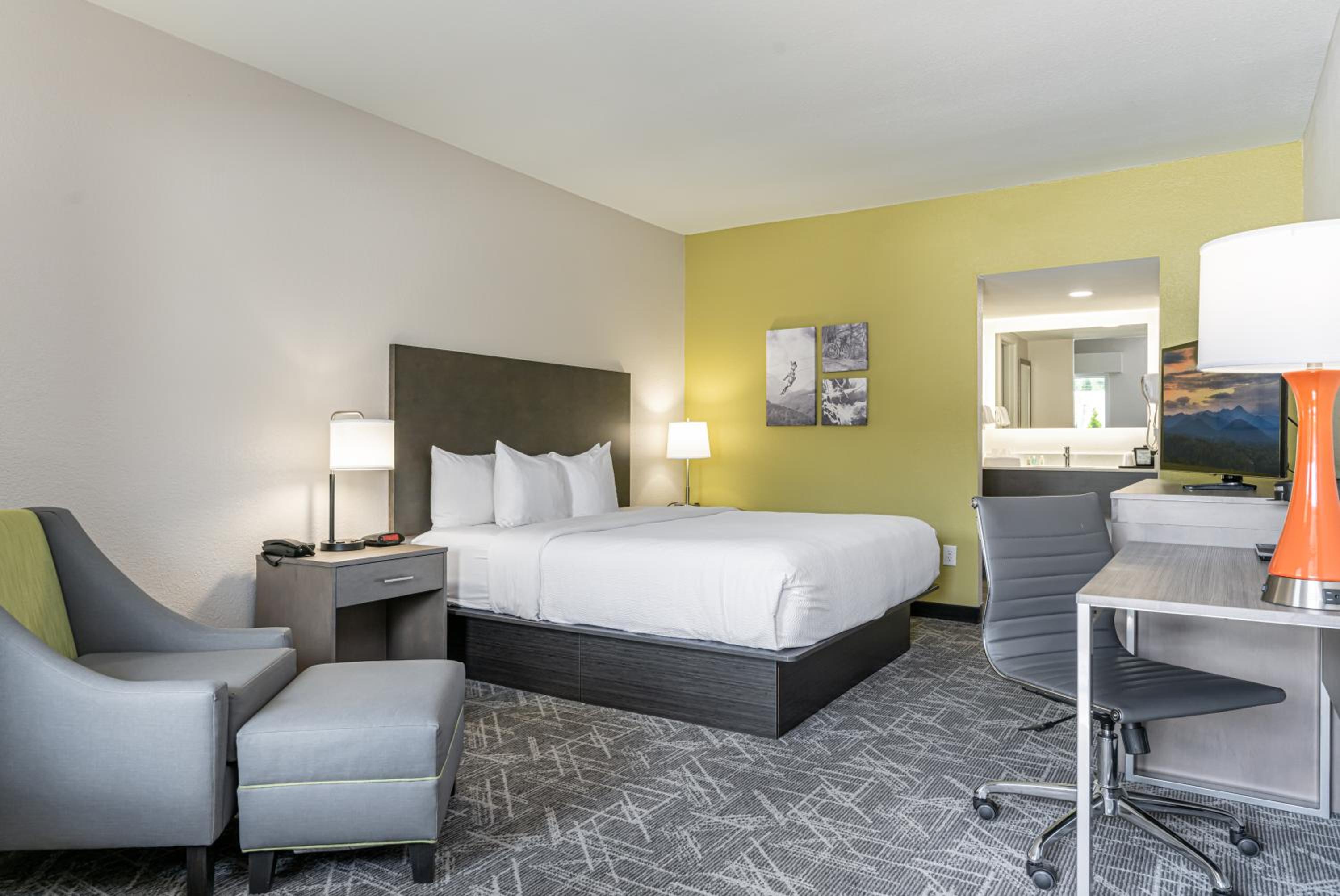 King Room - Non-Smoking/Pet-Friendly - Photo 1