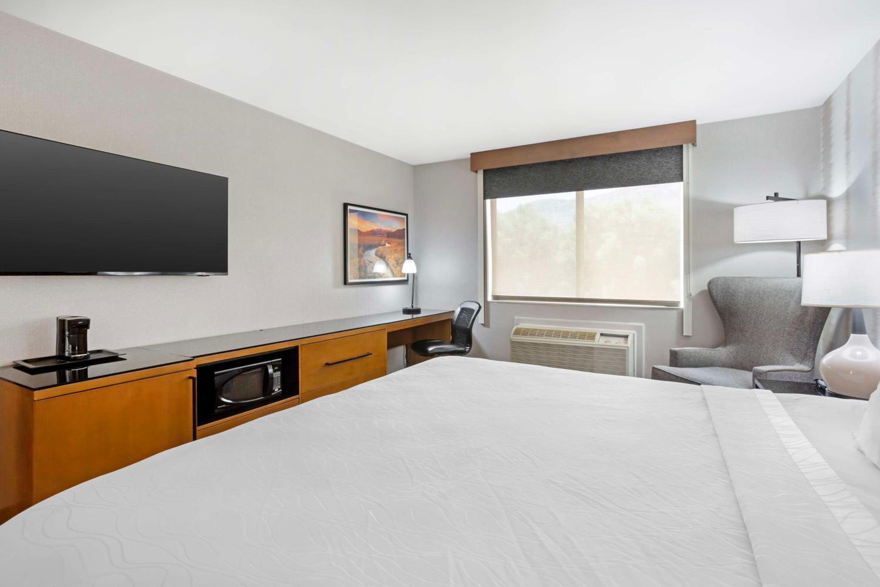 King Suite with Sofa Bed - Non-Smoking - Photo 5