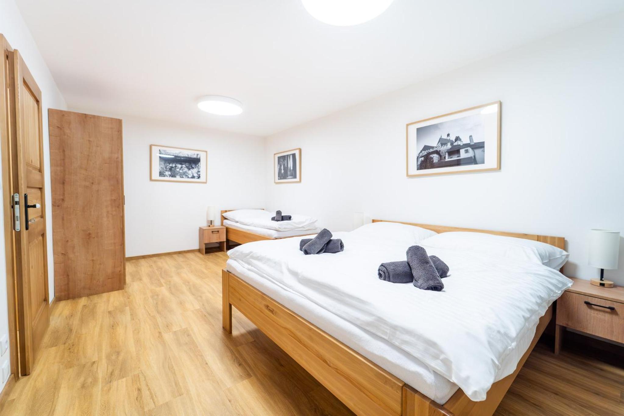 One-Bedroom Apartment with View