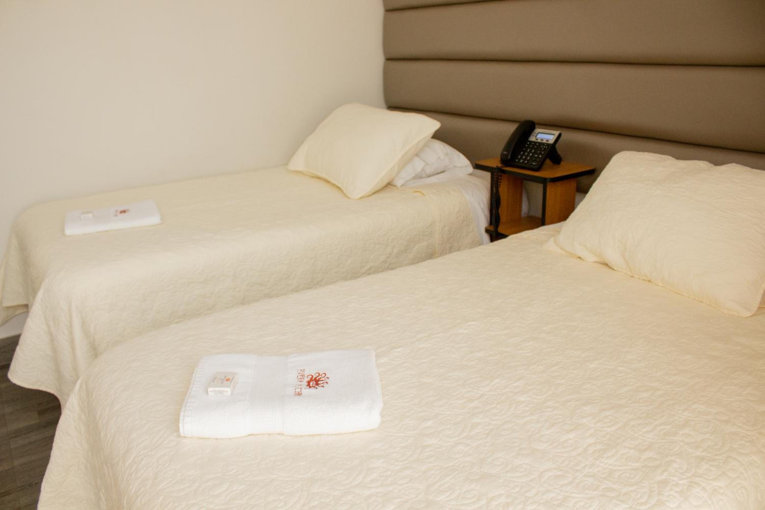 Single Room photo 1