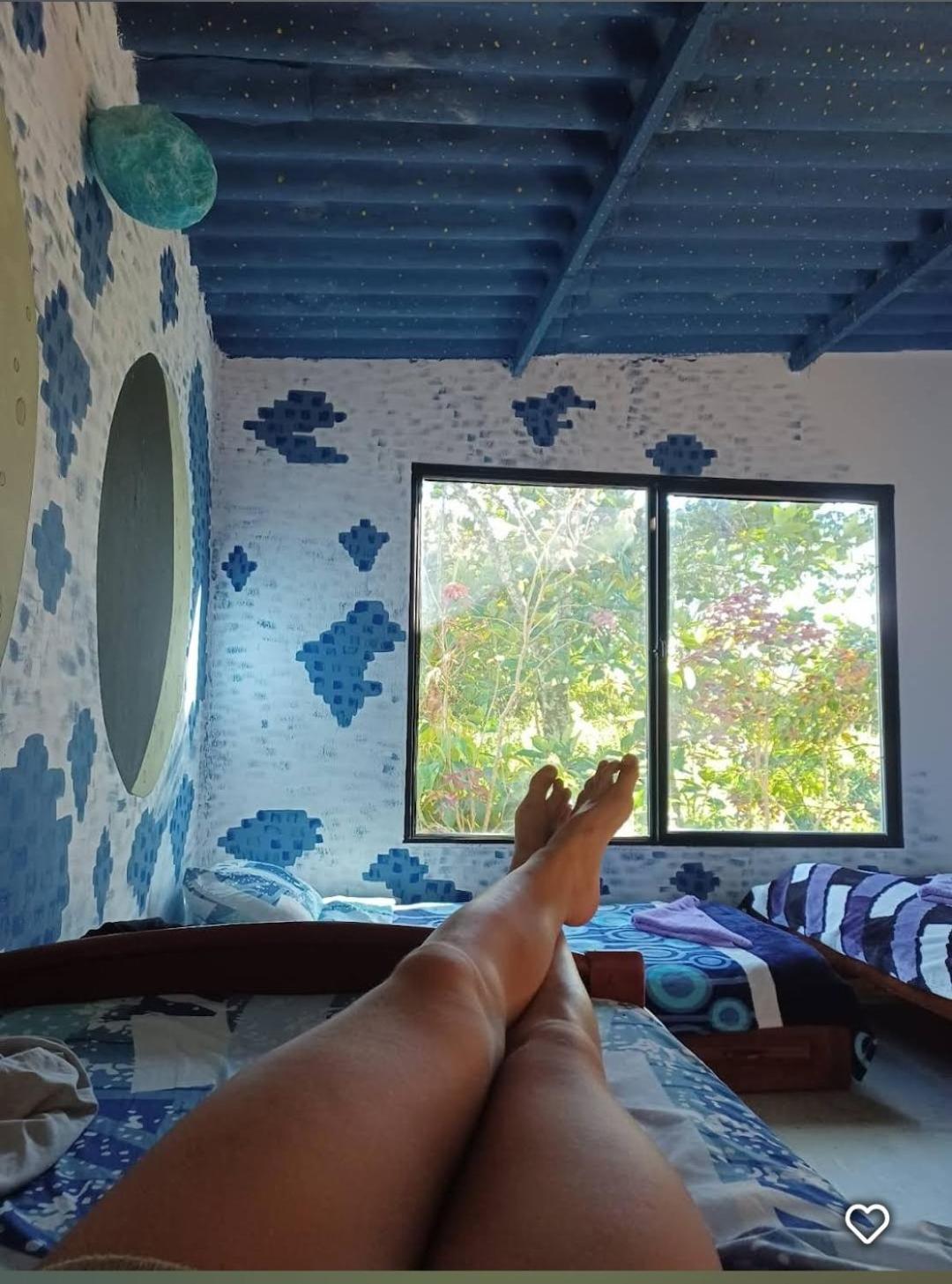 Family Room with Garden View photo 1